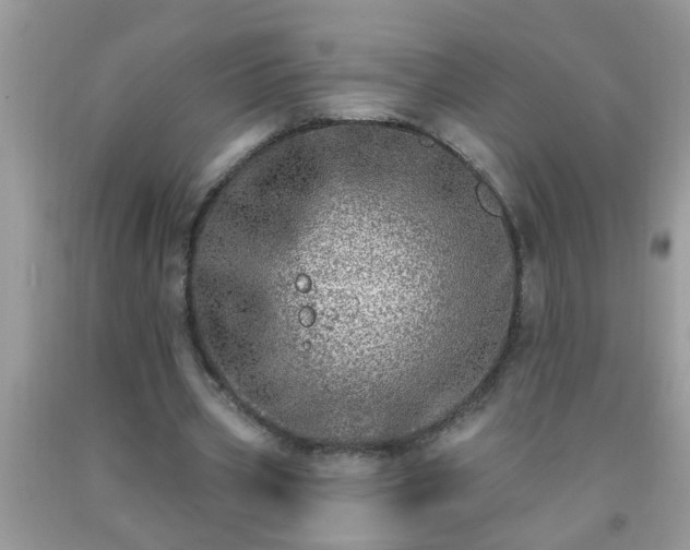 X0000092040533200709191102