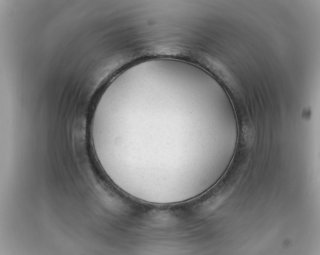 X0000092040534200709191102