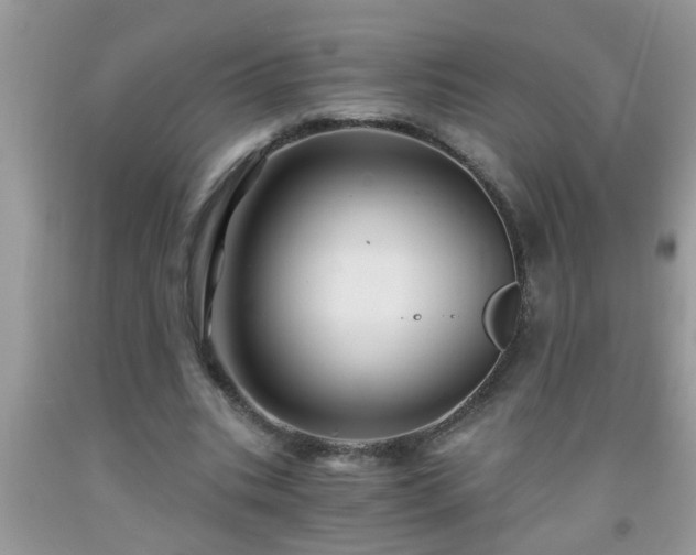 X0000092040535200709191102