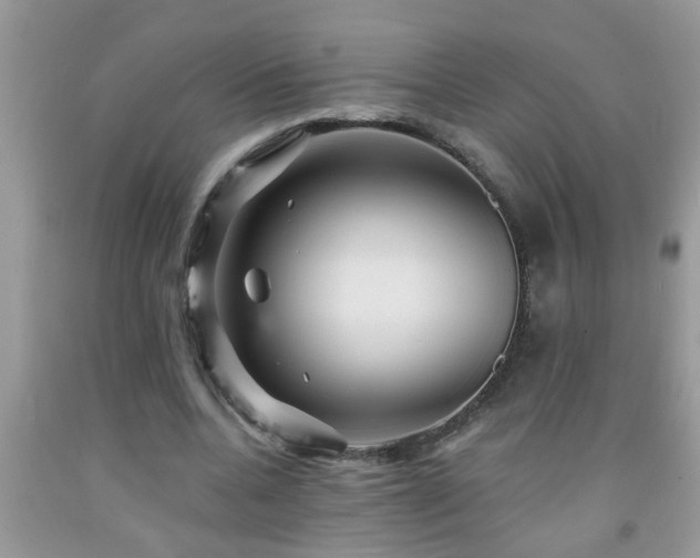 X0000092040536200709191102