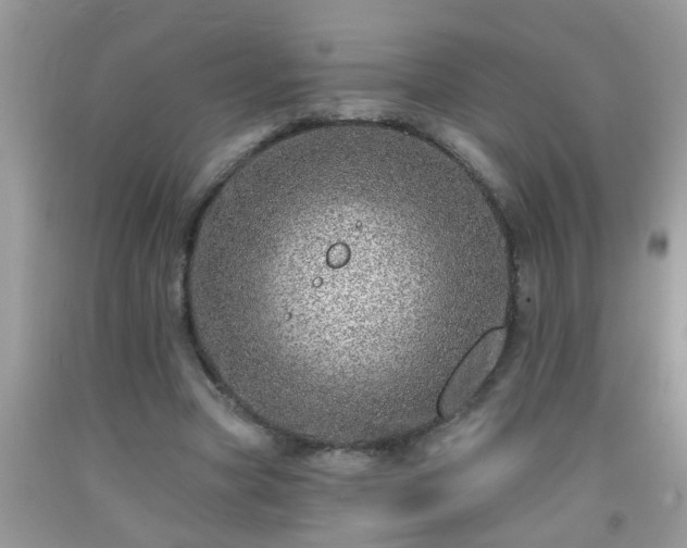 X0000092040537200709191102