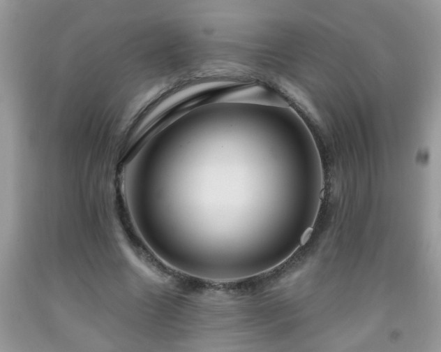 X0000092040538200709191102