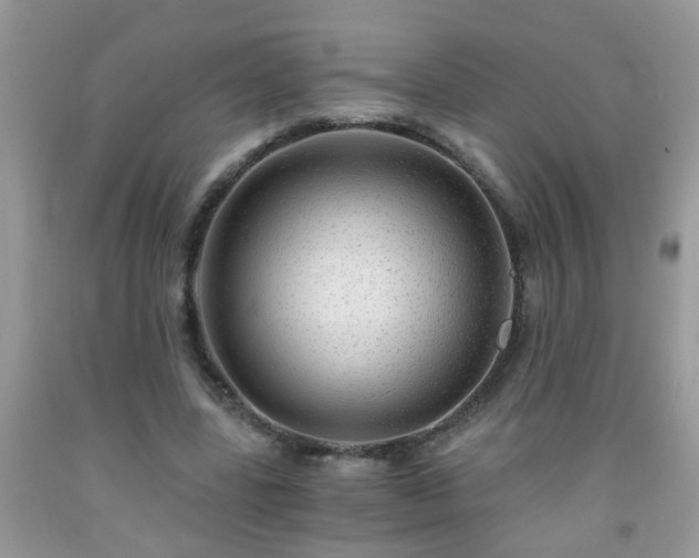 X0000092040539200709191102