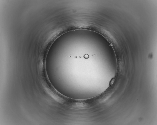 X0000092040541200709191102