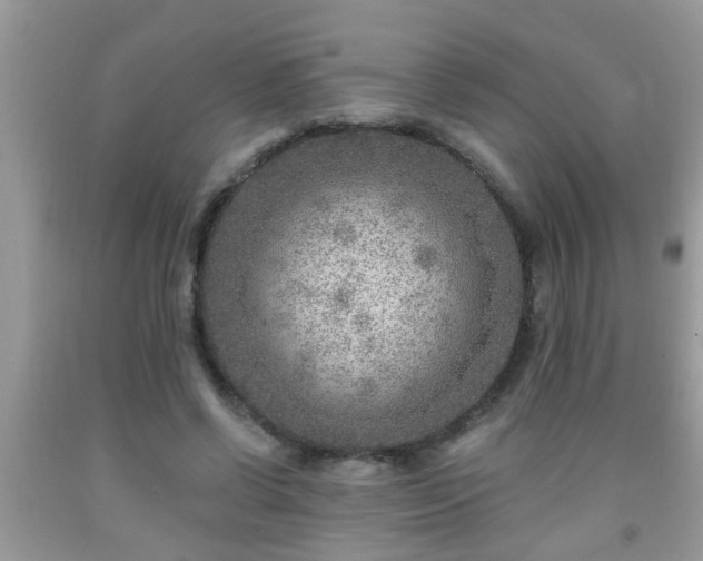 X0000092040542200709191102