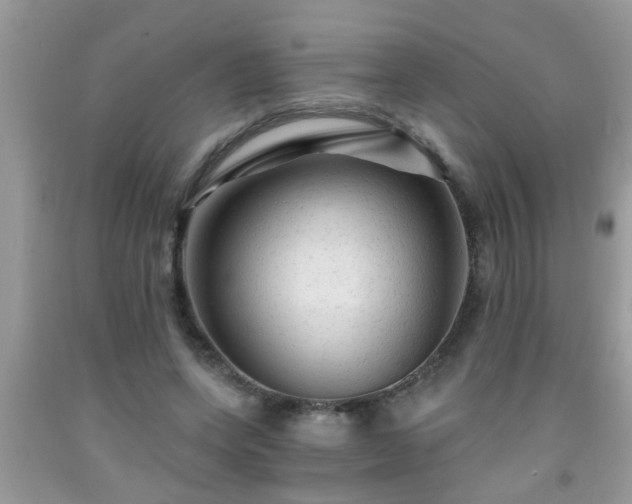 X0000092040543200709191102