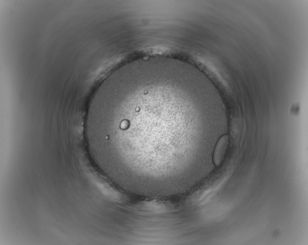 X0000092040545200709191102