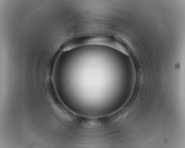 X0000092040546200709191102