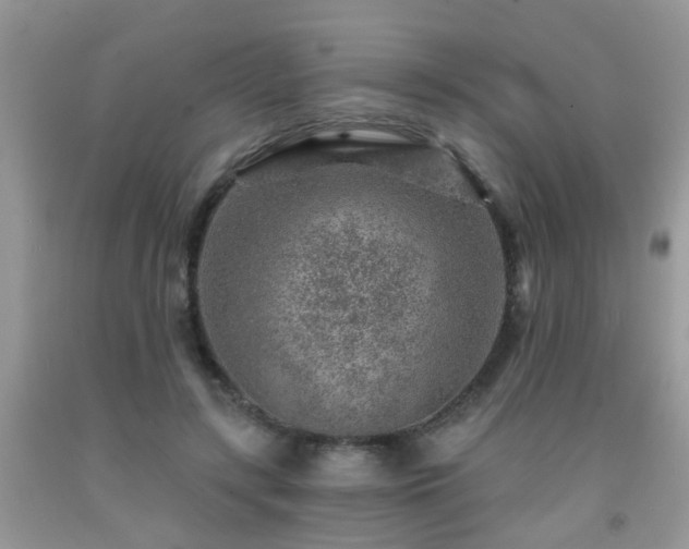 X0000092040547200709191102