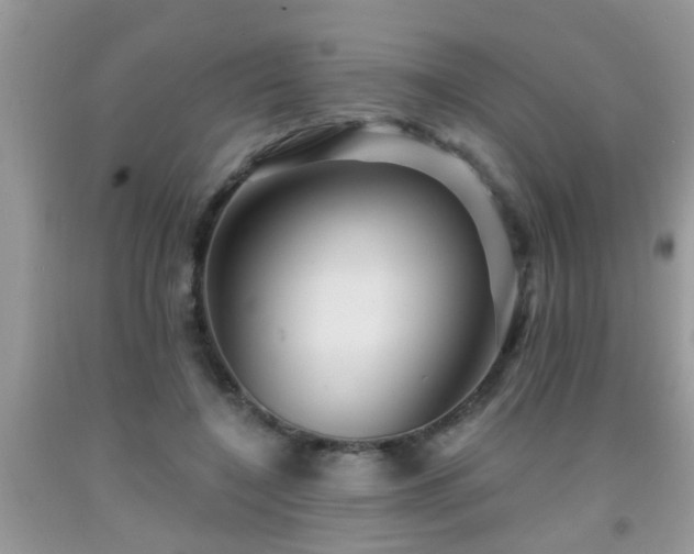 X0000092040548200709191102