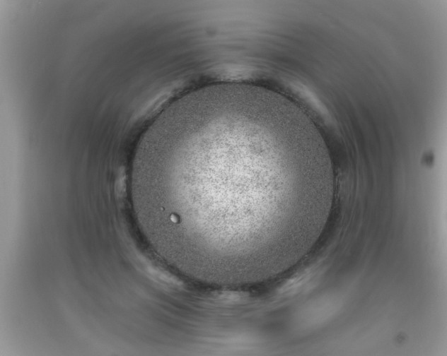 X0000092040549200709191102