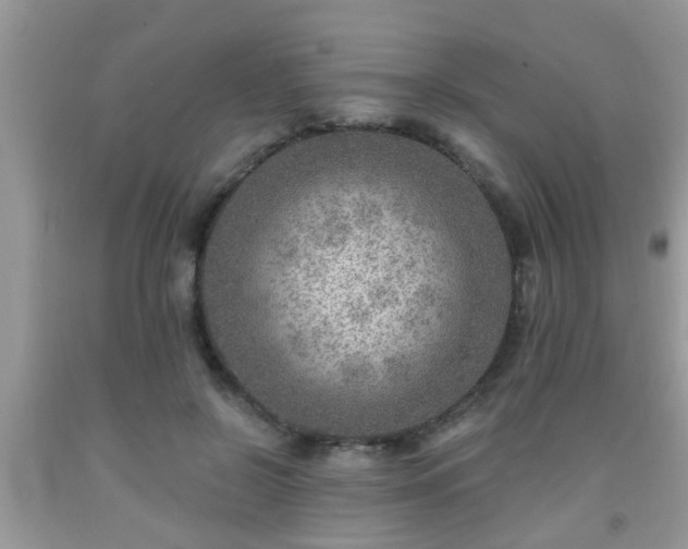 X0000092040550200709191102