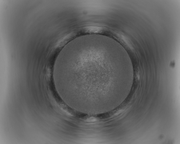 X0000092040551200709191102