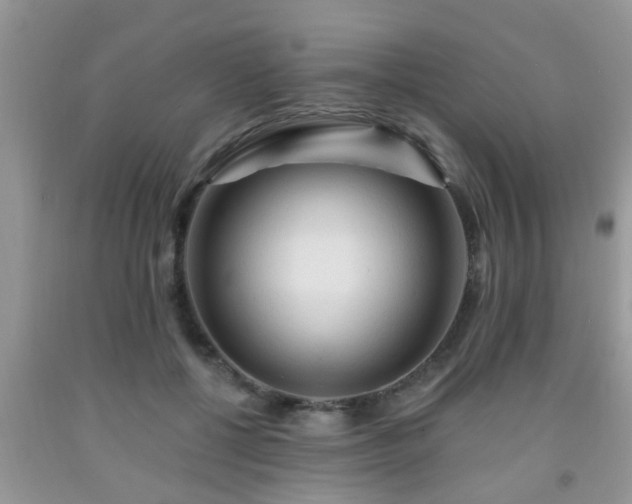 X0000092040552200709191102