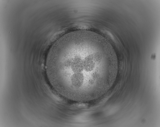 X0000092040553200709191102