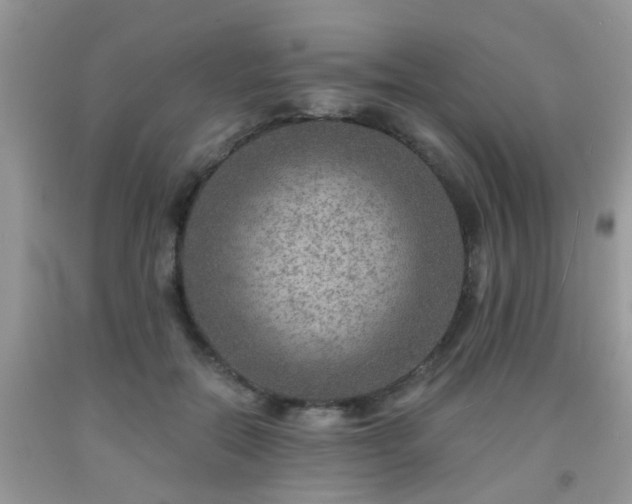 X0000092040554200709191102