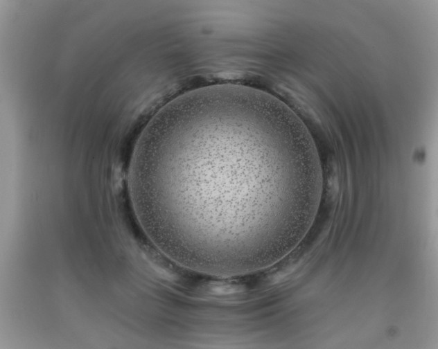 X0000092040555200709191102