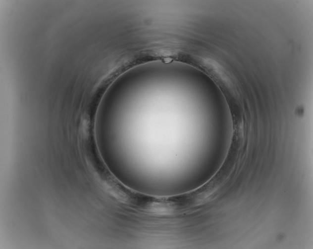 X0000092040556200709191102