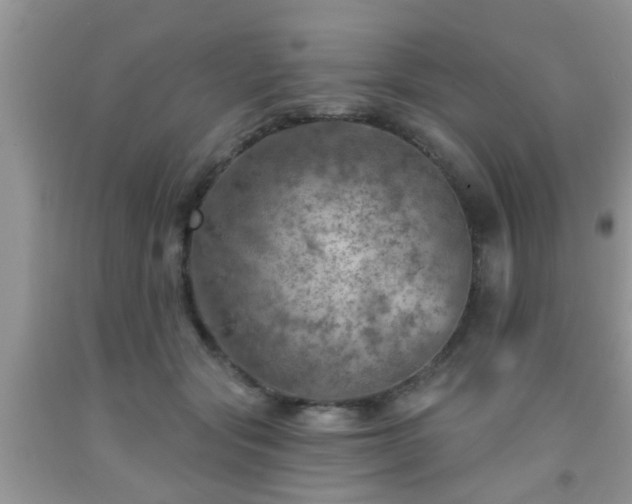 X0000092040557200709191102