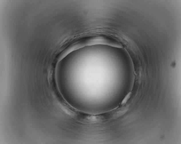 X0000092040558200709191102