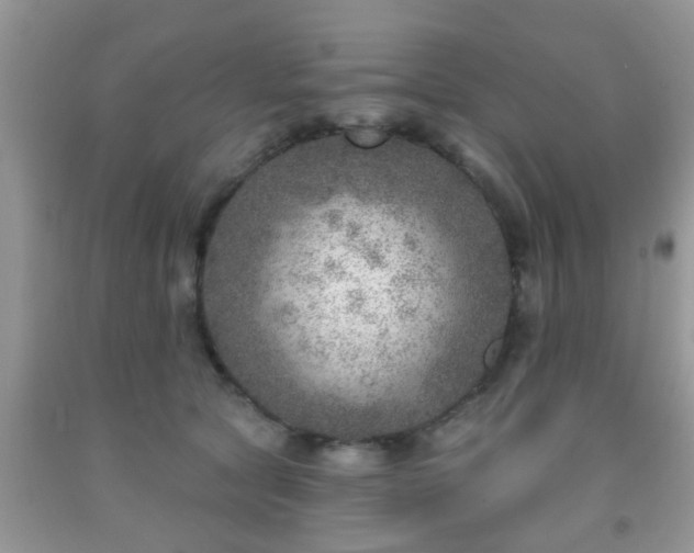 X0000092040561200709191102