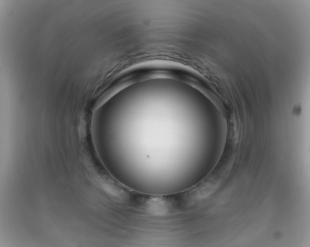 X0000092040562200709191103