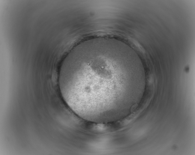 X0000092040565200709191103