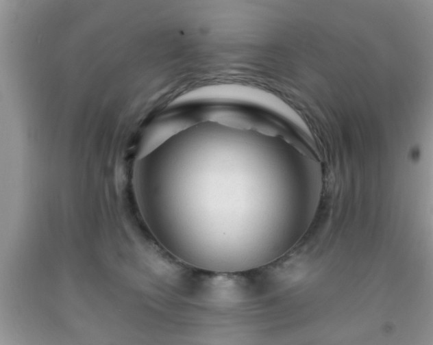 X0000092040566200709191103