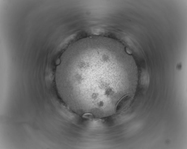 X0000092040569200709191103