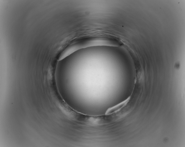 X0000092040570200709191103