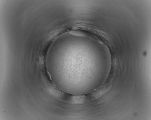 X0000092040571200709191103