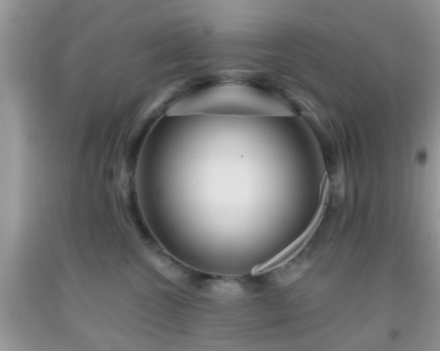 X0000092040572200709191103