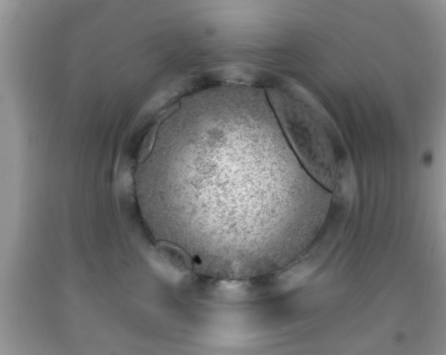 X0000092040573200709191103