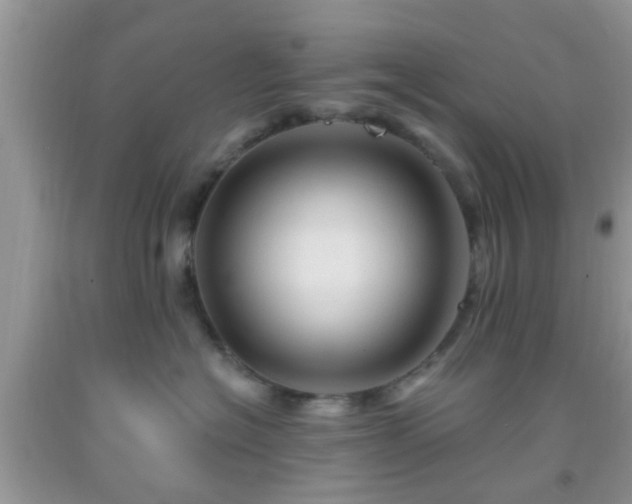 X0000092040574200709191103