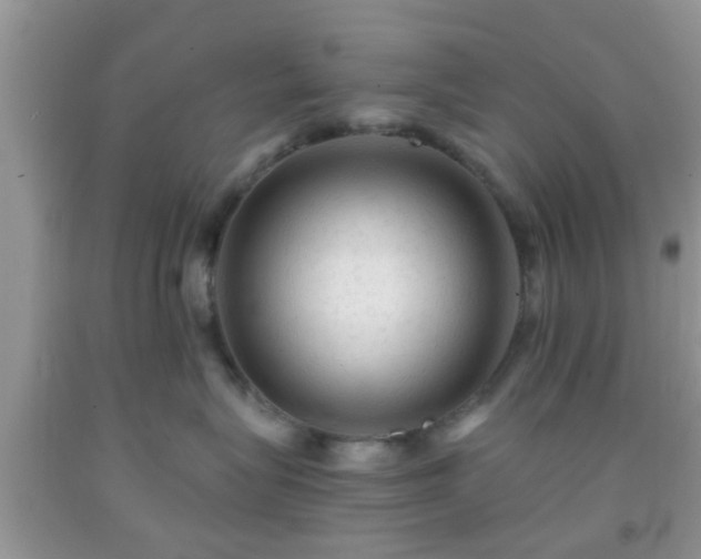 X0000092040575200709191103