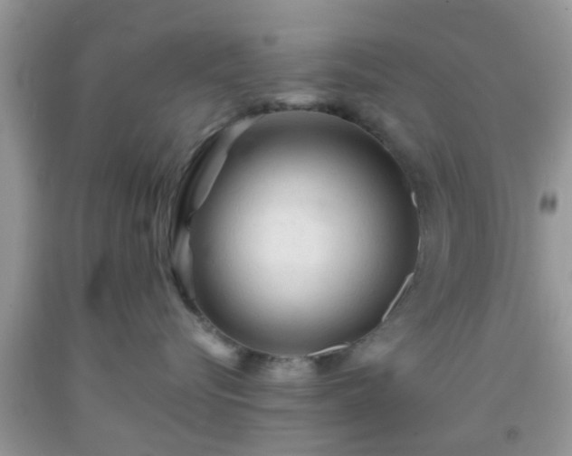 X0000092040576200709191103