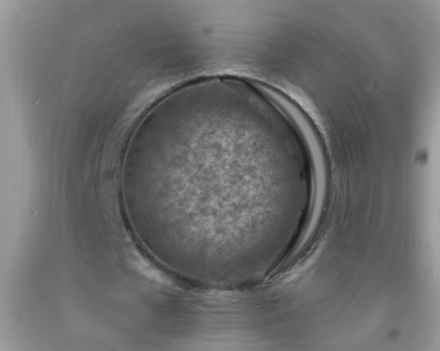 X0000092040577200709191102