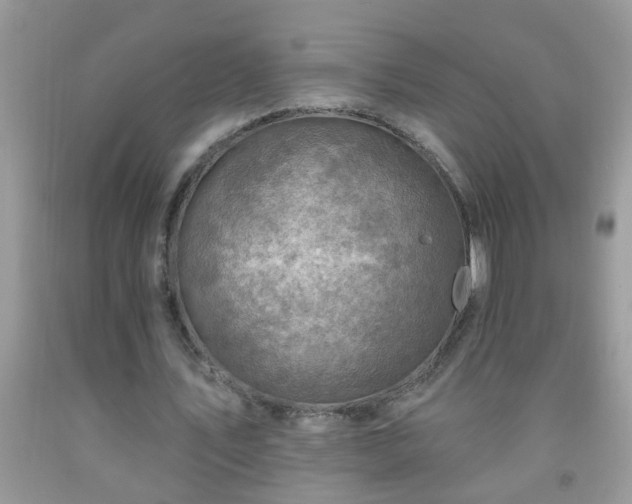 X0000092040579200709191102