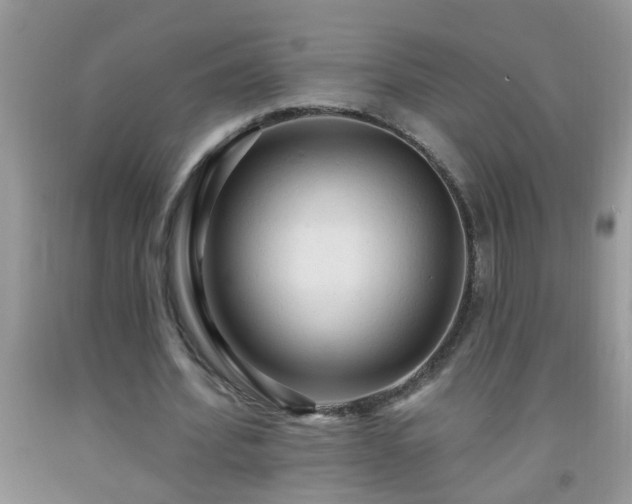 X0000092040580200709191102