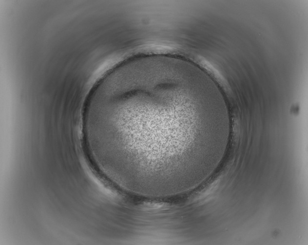 X0000092040582200709191102