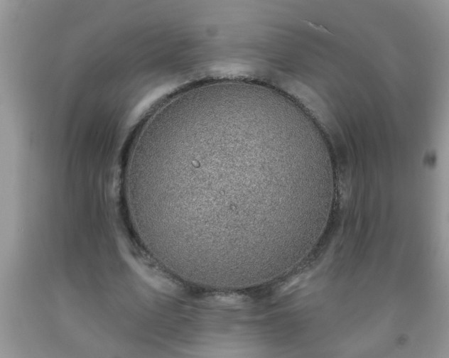 X0000092040583200709191102