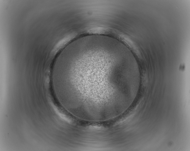 X0000092040586200709191102