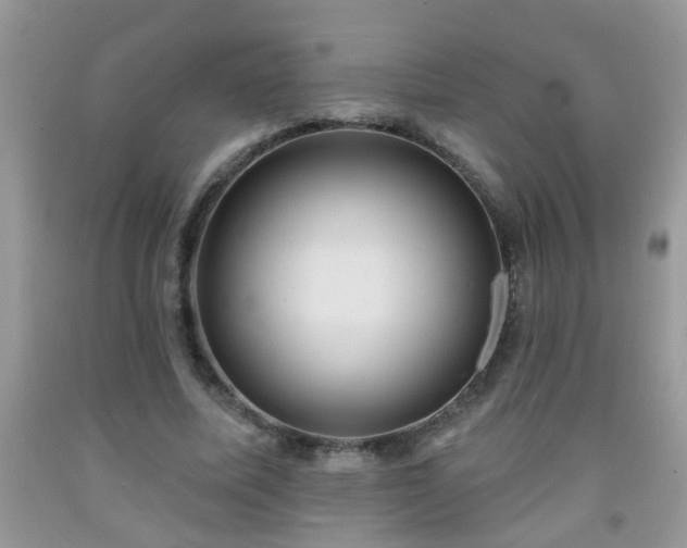 X0000092040587200709191102