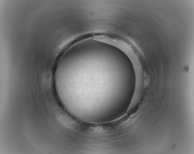 X0000092040588200709191102