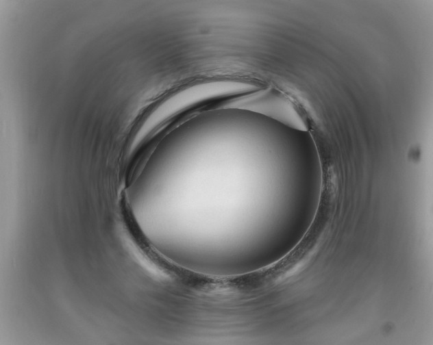 X0000092040589200709191102