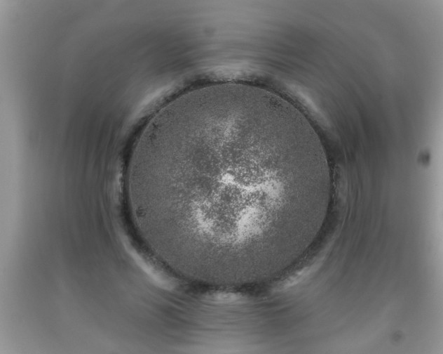 X0000092040590200709191102