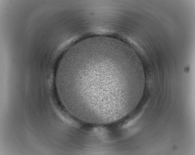 X0000092040591200709191102