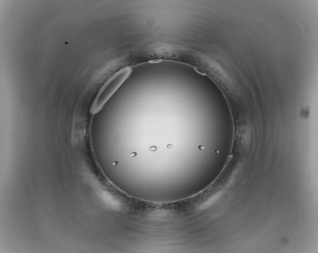 X0000092040593200709191102