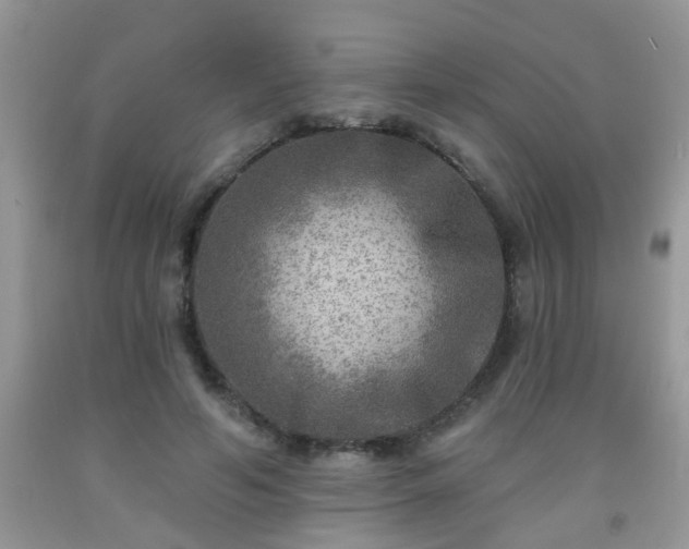 X0000092040594200709191102