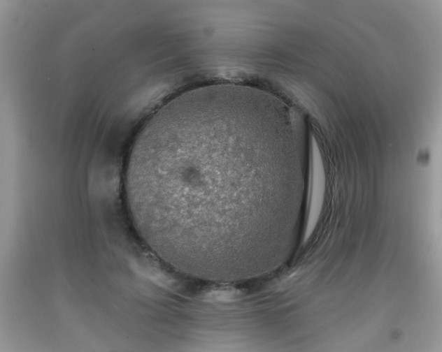 X0000092040595200709191102